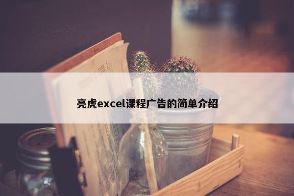 亮虎excel课程广告的简单介绍