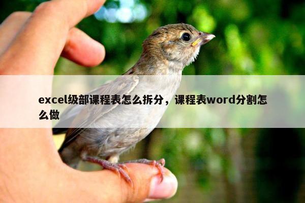 excel级部课程表怎么拆分，课程表word分割怎么做