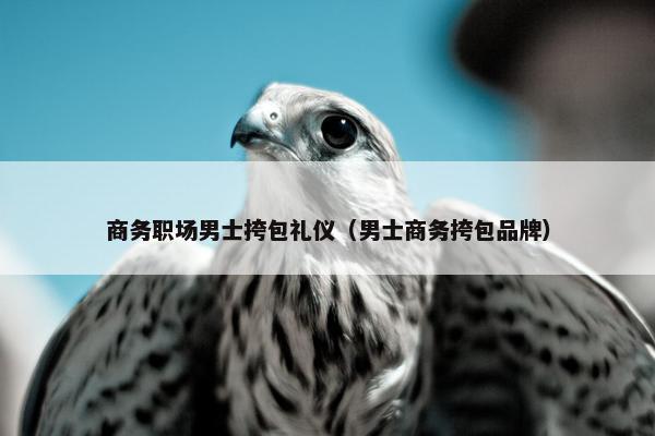 商务职场男士挎包礼仪（男士商务挎包品牌）