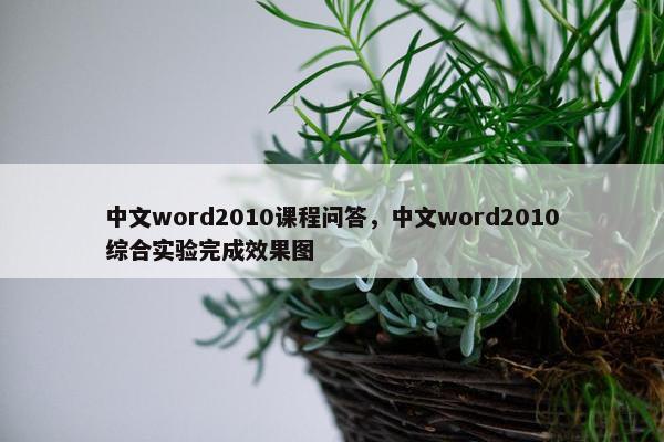 中文word2010课程问答，中文word2010综合实验完成效果图
