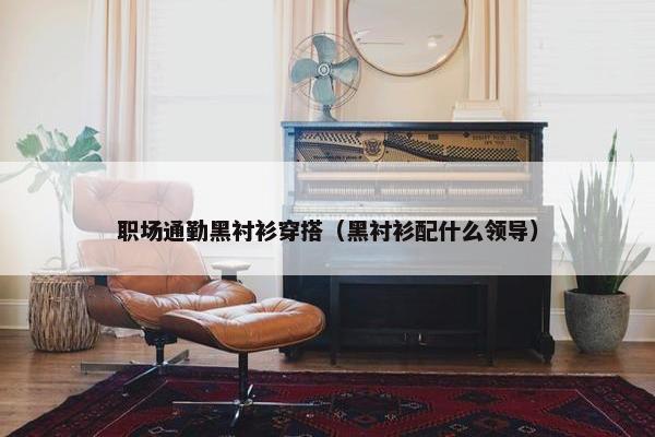 职场通勤黑衬衫穿搭（黑衬衫配什么领导）