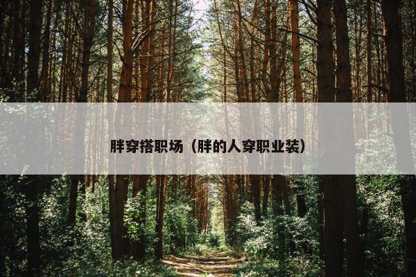 胖穿搭职场（胖的人穿职业装）