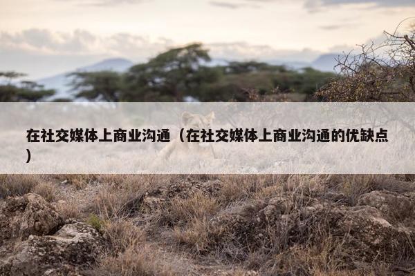 在社交媒体上商业沟通（在社交媒体上商业沟通的优缺点）
