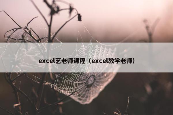 excel艺老师课程（excel教学老师）