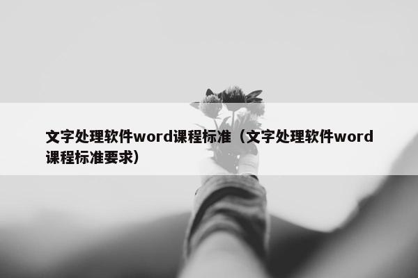 文字处理软件word课程标准（文字处理软件word课程标准要求）