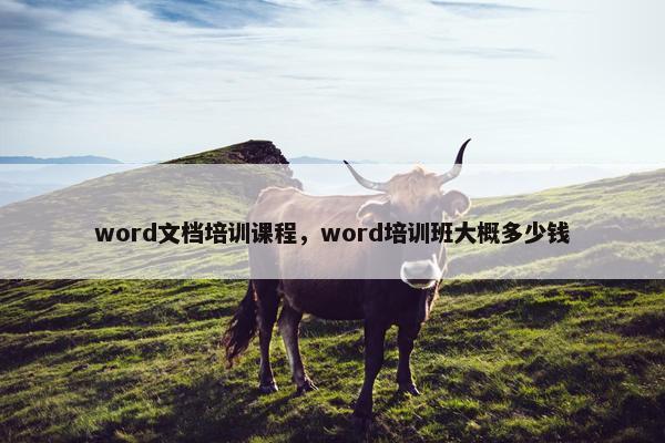 word文档培训课程，word培训班大概多少钱