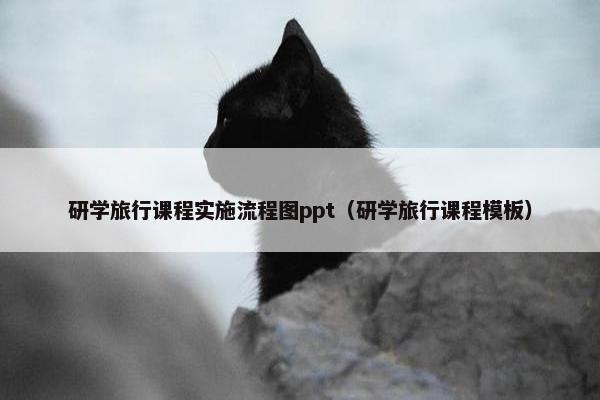 研学旅行课程实施流程图ppt（研学旅行课程模板）