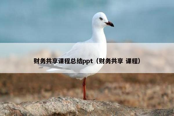 财务共享课程总结ppt（财务共享 课程）