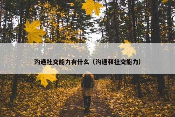 沟通社交能力有什么（沟通和社交能力）