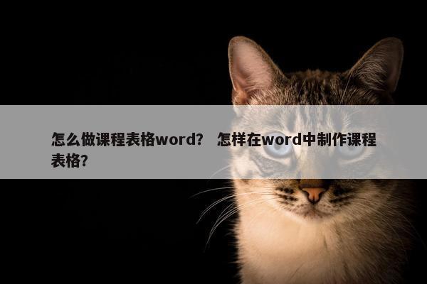 怎么做课程表格word？ 怎样在word中制作课程表格？