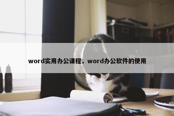 word实用办公课程，word办公软件的使用
