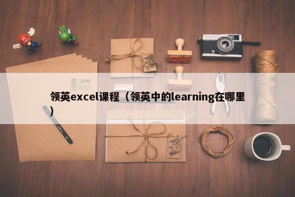 领英excel课程（领英中的learning在哪里）