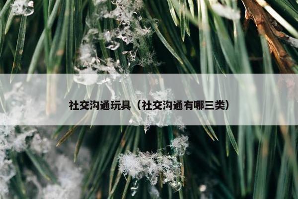 社交沟通玩具（社交沟通有哪三类）