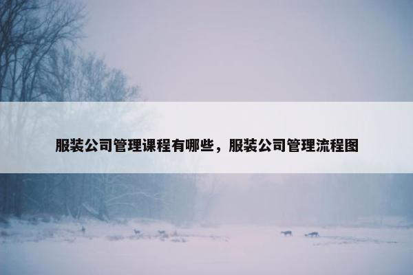 服装公司管理课程有哪些，服装公司管理流程图