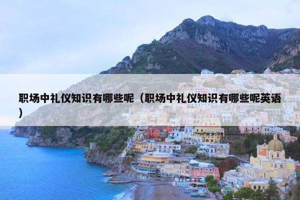 职场中礼仪知识有哪些呢（职场中礼仪知识有哪些呢英语）