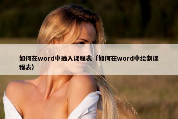 如何在word中插入课程表（如何在word中绘制课程表）