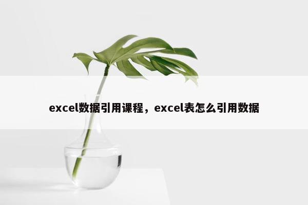 excel数据引用课程，excel表怎么引用数据