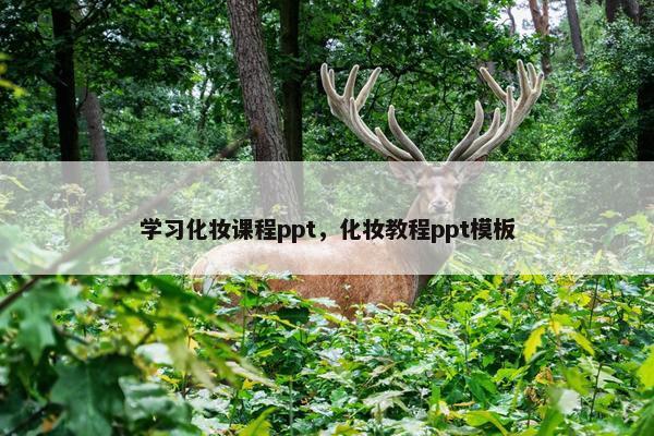学习化妆课程ppt，化妆教程ppt模板