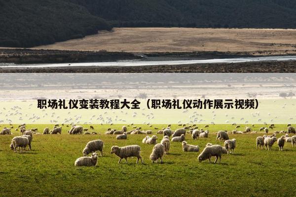 职场礼仪变装教程大全（职场礼仪动作展示视频）