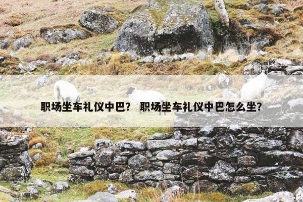 职场坐车礼仪中巴？ 职场坐车礼仪中巴怎么坐？