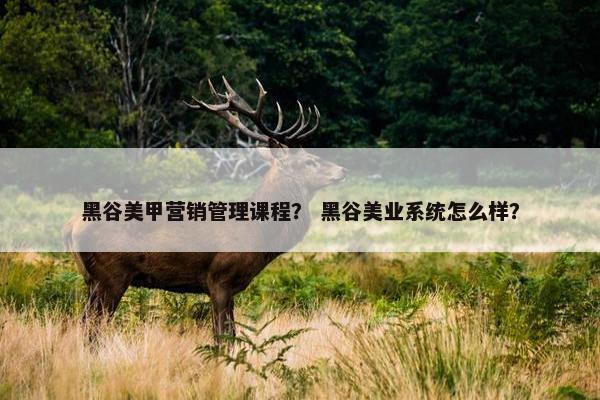 黑谷美甲营销管理课程？ 黑谷美业系统怎么样？