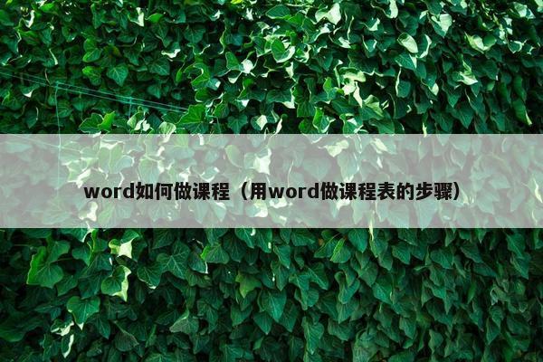 word如何做课程（用word做课程表的步骤）