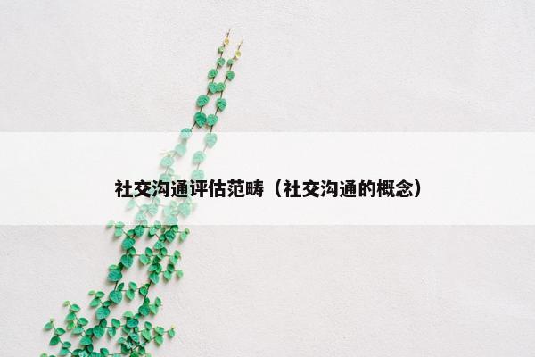 社交沟通评估范畴（社交沟通的概念）