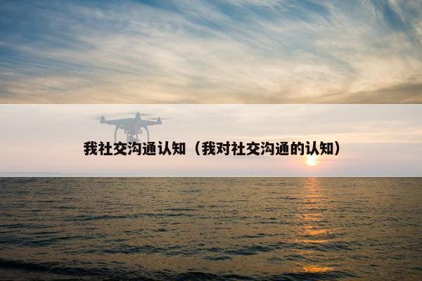 我社交沟通认知（我对社交沟通的认知）