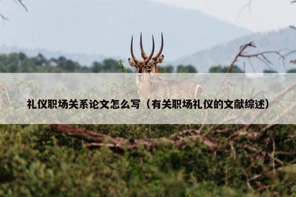 礼仪职场关系论文怎么写（有关职场礼仪的文献综述）