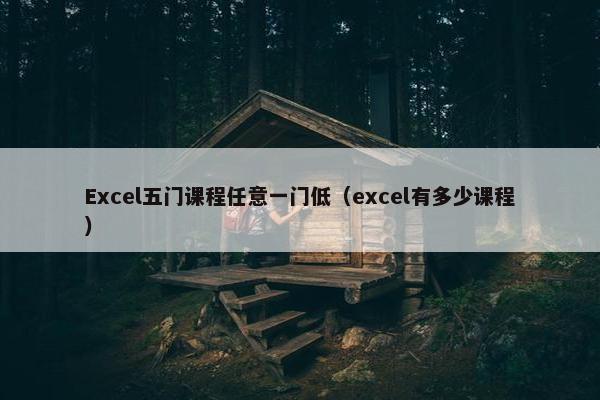 Excel五门课程任意一门低（excel有多少课程）