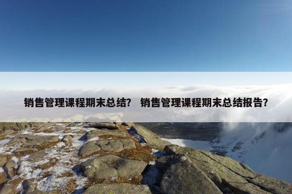 销售管理课程期末总结？ 销售管理课程期末总结报告？