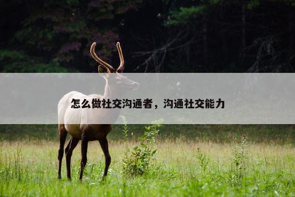 怎么做社交沟通者，沟通社交能力
