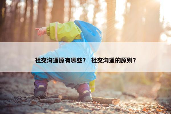 社交沟通原有哪些？ 社交沟通的原则？