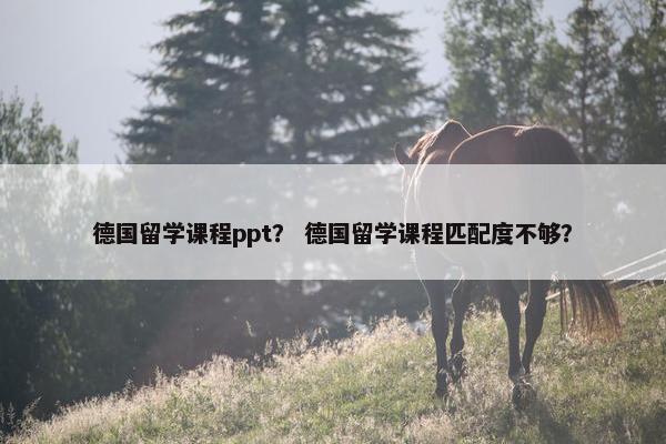 德国留学课程ppt？ 德国留学课程匹配度不够？