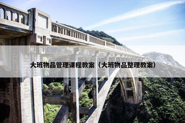 大班物品管理课程教案（大班物品整理教案）