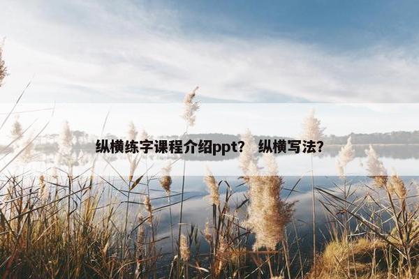 纵横练字课程介绍ppt？ 纵横写法？
