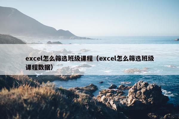 excel怎么筛选班级课程（excel怎么筛选班级课程数据）