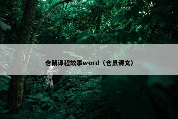 仓鼠课程故事word（仓鼠课文）