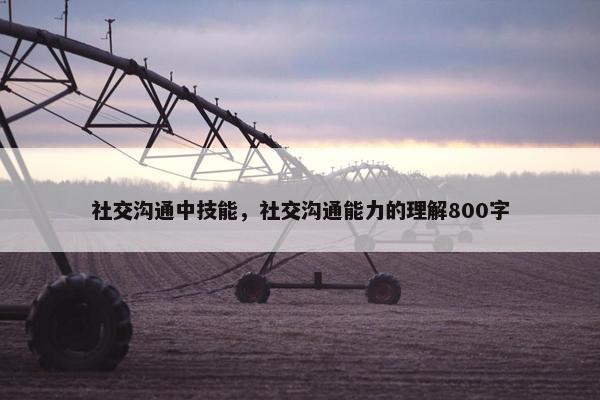 社交沟通中技能，社交沟通能力的理解800字