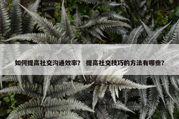 如何提高社交沟通效率？ 提高社交技巧的方法有哪些？