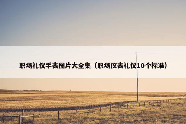 职场礼仪手表图片大全集（职场仪表礼仪10个标准）