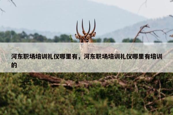 河东职场培训礼仪哪里有，河东职场培训礼仪哪里有培训的