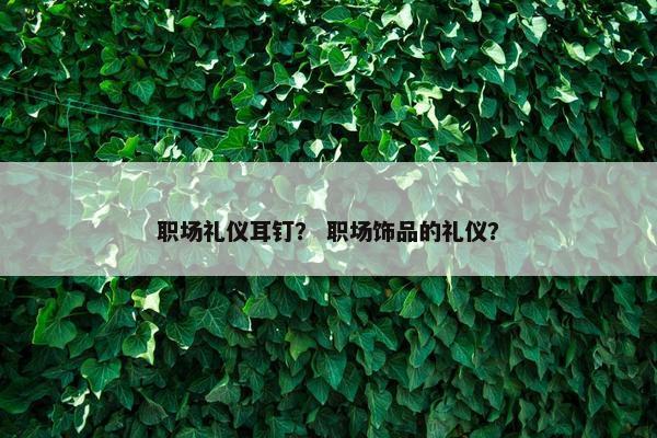 职场礼仪耳钉？ 职场饰品的礼仪？