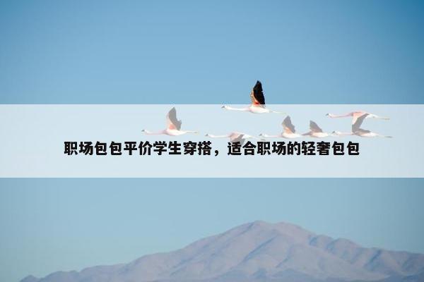 职场包包平价学生穿搭，适合职场的轻奢包包