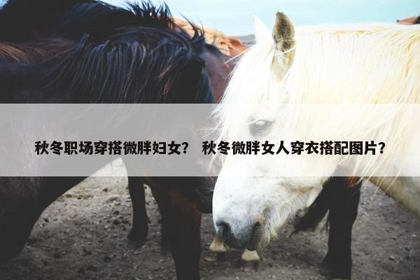 秋冬职场穿搭微胖妇女？ 秋冬微胖女人穿衣搭配图片？