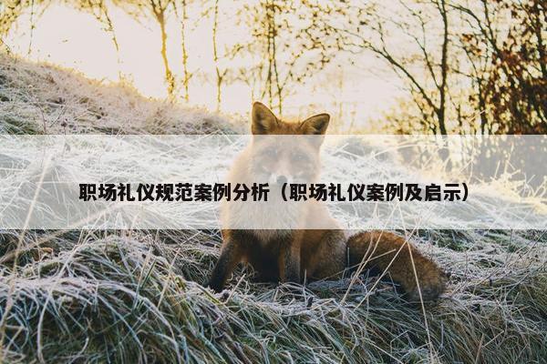 职场礼仪规范案例分析（职场礼仪案例及启示）