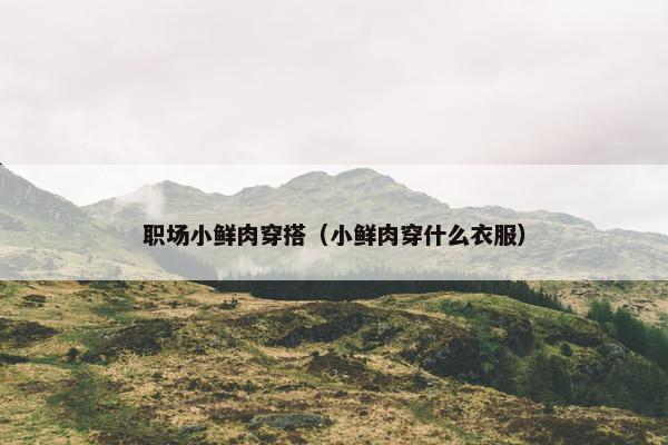 职场小鲜肉穿搭（小鲜肉穿什么衣服）