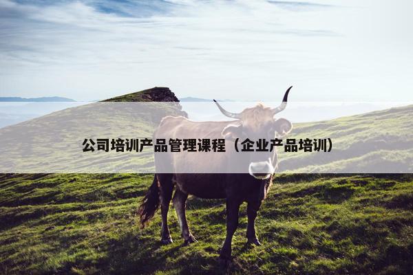 公司培训产品管理课程（企业产品培训）