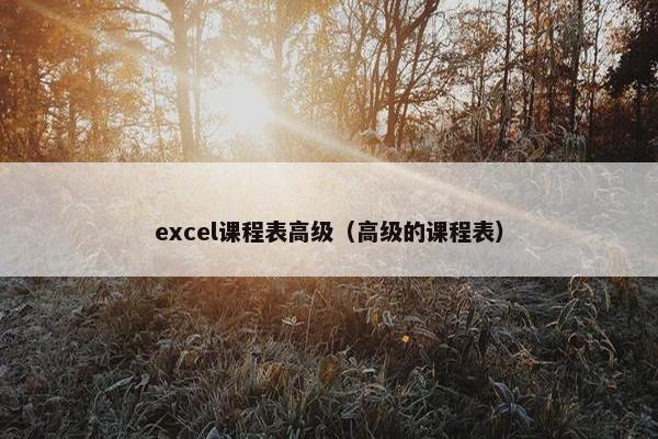 excel课程表高级（高级的课程表）
