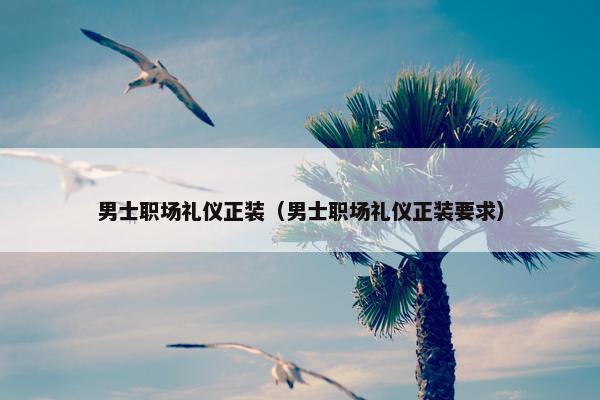 男士职场礼仪正装（男士职场礼仪正装要求）
